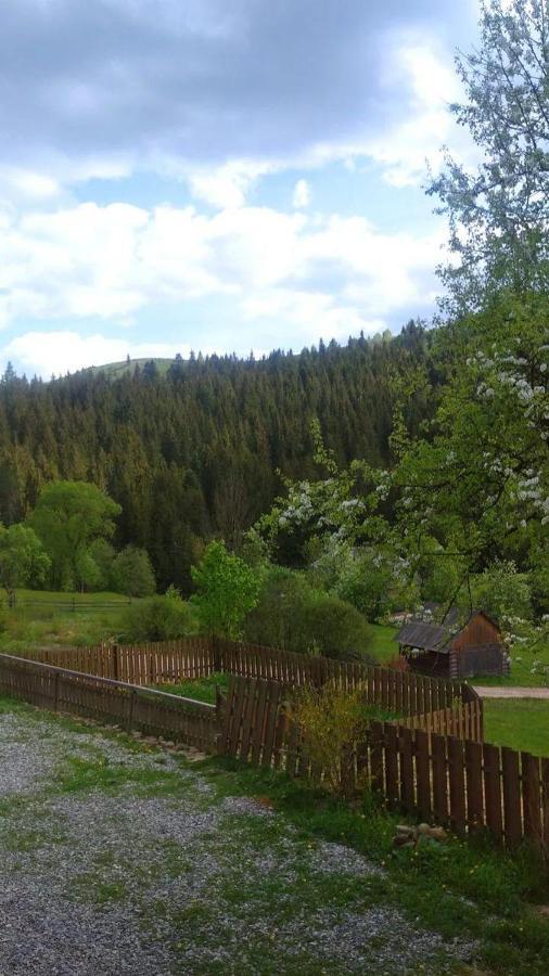 Villa Filiak Yablunytsya Exterior foto